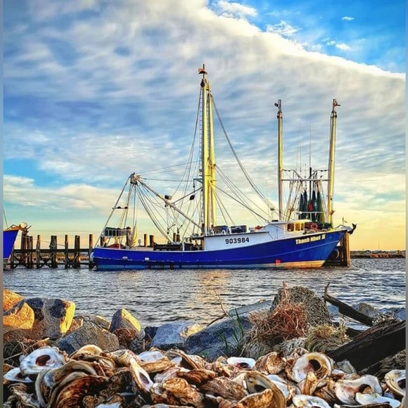 Happy Poshing-Welcome to Gulfcloset! - Picture 3 of 9